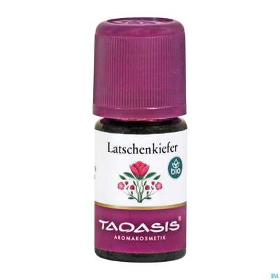 Aetherische Oele Taoasis Bio Latschenkiefer 5ml, A-Nr.: 4372603 - 03