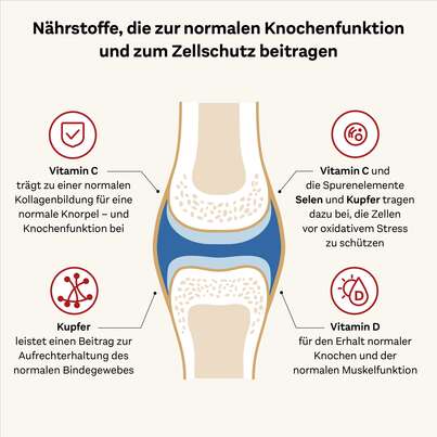 Doppelherz system KOLLAGEN 11.000 PLUS, A-Nr.: 3821192 - 07