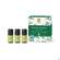 Primavera Set Duftende Waldkraft 1st, A-Nr.: 5373361 - 04