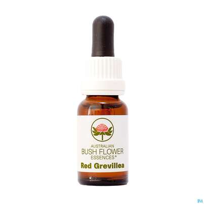 Aub Red Grevillea, A-Nr.: 2627269 - 01