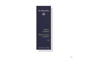 Dr. Hauschka Lipstick 14 Caralluma 4,1g, A-Nr.: 4592931 - 01