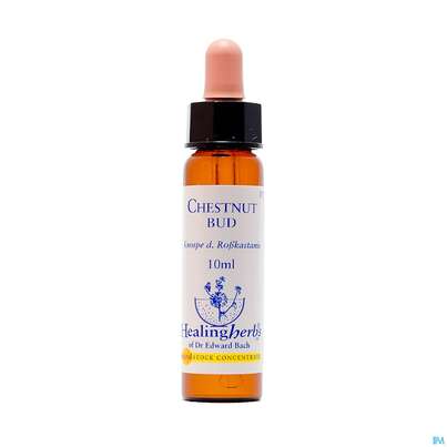 Healing Herbs 07 Chestnut Bud 10ml, A-Nr.: 2186055 - 01