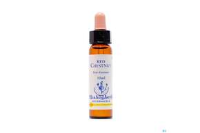 Healing Herbs 25 Red Chestnut 10ml, A-Nr.: 2186440 - 01