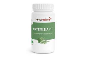 KINGNATURE ARTEMISIA PET KPS, A-Nr.: 5941440 - 01