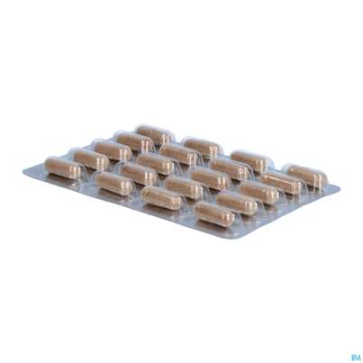 Dr.wolz Thromboflow Kapseln 60653 20st, A-Nr.: 4164810 - 08