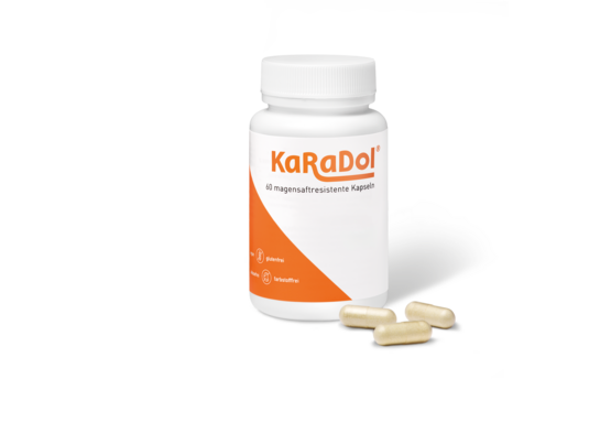 KaRaDol magensaftresistente Kapseln 60 Stk., A-Nr.: 5882424 - 01