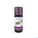 Aetherische Oele Taoasis Bio Zirbelkiefer 10ml, A-Nr.: 4158465 - 04