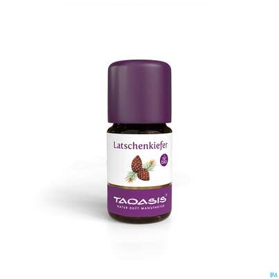 Aetherische Oele Taoasis Bio Latschenkiefer 5ml, A-Nr.: 4372603 - 02