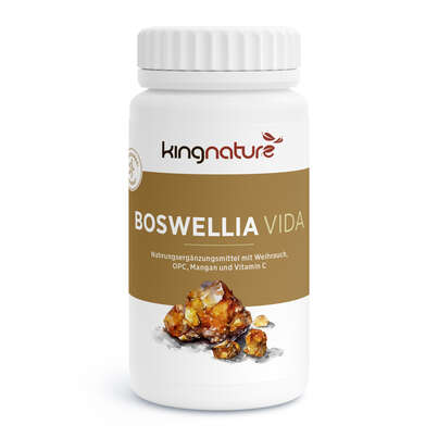 KINGNATURE Boswellia Vida Kaps 100 mg Ds 90 Stk, A-Nr.: 5667594 - 01