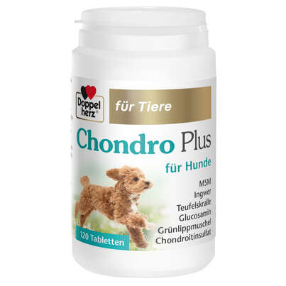 Sie sehen eine Packung Doppelherz für Tiere Chondro Plus für Hunde, Produktbild: 01 Doppelherz für Tiere Chondro Plus für Hunde, A-Nr.: 5955778 - 01