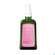 Sie sehen eine Packung Weleda Schwangerschafts-pflegeoel Neu 100ml, Produktbild: 08 Weleda Schwangerschafts-pflegeoel Neu 100ml, A-Nr.: 4583665 - 08