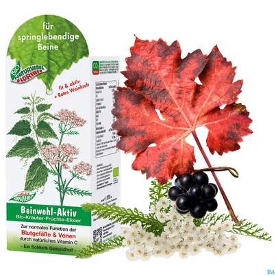 Beinwohl Aktiv Kraeuterfit Elixier Bio Kraeuter Fruechte Alkoholfrei 330ml, A-Nr.: 3961734 - 12