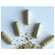 Moringa Powder Capsules 60 Stk., A-Nr.: 4583412 - 04