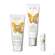 Sonnenprodukte Farfalla Sos After Sun E+ Aloe Vera Gel 100ml, A-Nr.: 5935787 - 04