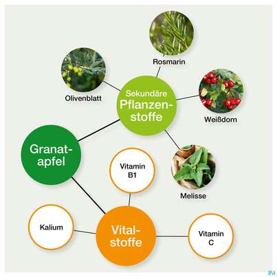 Weissdorn Herz+fit Granatapfel Revital Alkoholfrei Kraeuter Fruechte 330ml, A-Nr.: 3725790 - 07
