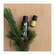 Primavera Bio-pflegeoel Johanniskraut 100ml, A-Nr.: 2859761 - 04
