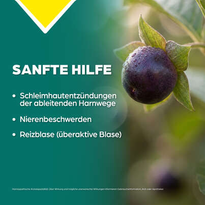 Apozema® Nr. 09 Blasen- und Nieren-Tropfen, A-Nr.: 0957525 - 03