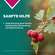 Apozema® Nr. 10 Bluthochdruck-Tropfen, A-Nr.: 0987880 - 03