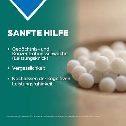 Apozema® Nr. 17 Gedächtnis- und Konzentrations-Tropfen, A-Nr.: 0987845 - 03
