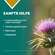 Apozema® Nr. 21 Leber- und Galle-Tropfen, A-Nr.: 0987911 - 03