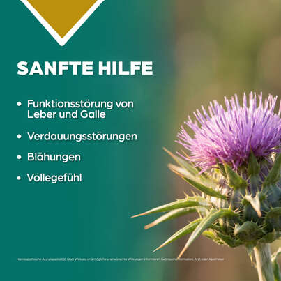Apozema® Nr. 21 Leber- und Galle-Tropfen, A-Nr.: 0987911 - 03