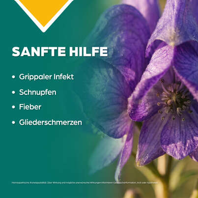 Sie sehen eine Packung Apozema® Nr. 28 Schnupfen- und Grippe-Tropfen, Produktbild: 03 Apozema® Nr. 28 Schnupfen- und Grippe-Tropfen, A-Nr.: 0982871 - 03