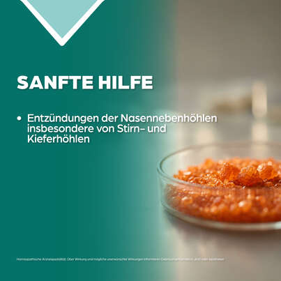 Apozema® Nr. 31 Sinusitis-Tropfen, A-Nr.: 0987822 - 03