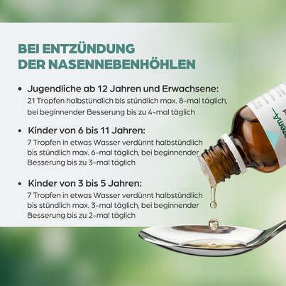 Apozema® Nr. 31 Sinusitis-Tropfen, A-Nr.: 0987822 - 05