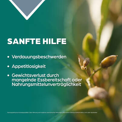 Sie sehen eine Packung Apozema® Nr. 37 Magen- und Darm-Tropfen, Produktbild: 03 Apozema® Nr. 37 Magen- und Darm-Tropfen, A-Nr.: 1291146 - 03