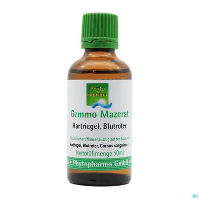 Gemmo Mazerat Hartriegel/blutrot Cornus Sanguinea Phytopharma 50ml, A-Nr.: 3107098 - 03