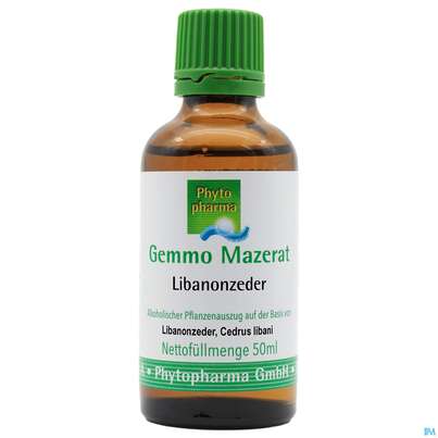 Gemmo Mazerat Libanonzeder Cedrus Libani Phytopharma 50ml, A-Nr.: 3107371 - 01