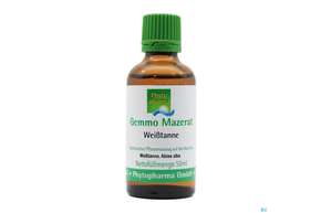 Gemmo Mazerat Weisstanne Abies Alba Phytopharma 50ml, A-Nr.: 3107282 - 01