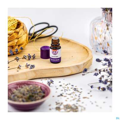 Sie sehen eine Packung Aetherische Oele Taoasis Bio/demeter Lavendel Fein 5ml, Produktbild: 06 Aetherische Oele Taoasis Bio/demeter Lavendel Fein 5ml, A-Nr.: 3164334 - 06