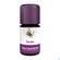 Aetherische Oele Taoasis Bio Zeder 5ml, A-Nr.: 3166899 - 01