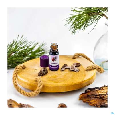 Aetherische Oele Taoasis Bio Zirbelkiefer 10ml, A-Nr.: 4158465 - 05