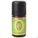 Aetherische Oele Primavera Rosmarin Campher Bio 5ml, A-Nr.: 2305330 - 02