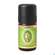Aetherische Oele Primavera Zirbelkiefer Bio 5ml, A-Nr.: 2305436 - 03