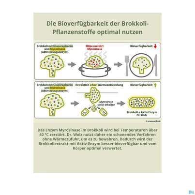 Dr.wolz Brokkoliextrakt Kapseln +aktiv-enzym 60563 60st, A-Nr.: 5133705 - 11