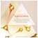 Sie sehen eine Packung Avene Dermabsolu Nachtcreme 40ml, Produktbild: 12 Avene Dermabsolu Nachtcreme 40ml, A-Nr.: 5899146 - 12