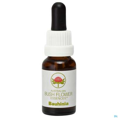 Aub Bauhinia, A-Nr.: 2626844 - 02