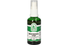 INGWERWURZEL SPRAY 50 ML, A-Nr.: 4484383 - 01