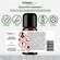 Latschenkiefer Öl 10 ml, A-Nr.: 4318733 - 06