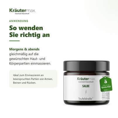 Teufelskralle Salbe 100 ml, A-Nr.: 5138915 - 04