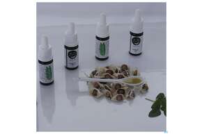 Moringa Pure Oil 10ml, A-Nr.: 4583441 - 01