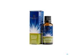 Pflanzenextrakt Dr Ewald Toeth Lqa Microvita 10ml, A-Nr.: 2629127 - 01