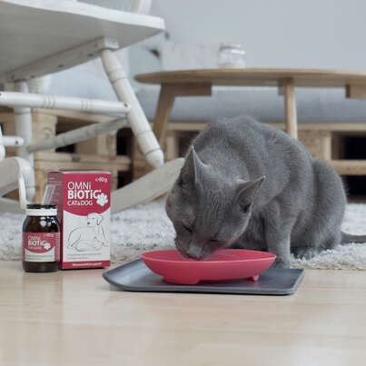 OMNi-BiOTiC® Cat &amp; Dog, 60g, A-Nr.: 5200301 - 02