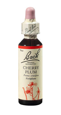 Bach®-Blüte Nr. 6 Cherry Plum (Kirschpflaume), A-Nr.: 5322837 - 01