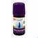 Aetherische Oele Taoasis Bio/demeter Lavendel Fein 5ml, A-Nr.: 3164334 - 01